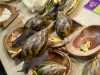 escargots-plus-gros-que-les-bananes