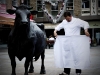 La vache locale resistera-t-elle au torero Guillemot ?